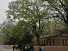 -延安杨家岭革命旧址