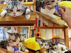 -小时光咖啡馆(开森度假森林店)
