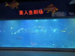 -福州罗源湾海洋世界旅游区
