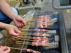 -吴淞炮台湾湿地森林公园烧烤区