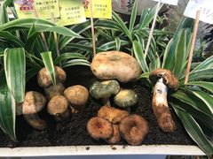 -福照楼汽锅鸡·云南特色菜(万达广场店)
