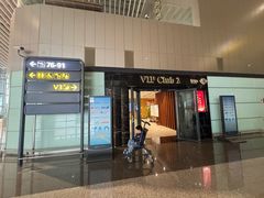 -青岛胶东国际机场