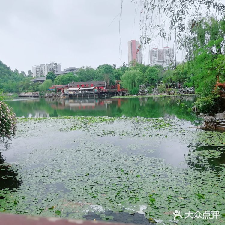 贵阳周边游|游走在泉湖公园的美妙时光