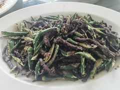 -月圆霖特色农家乐