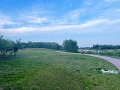 -马家湾湿地公园