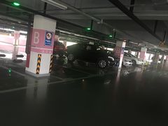 -上海海昌海洋公园-停车场
