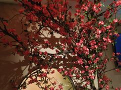 -觅唐MITONG(鸟巢店)