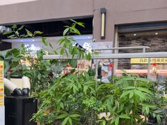 -Simple Yummy简单美味(上邦百汇城店)