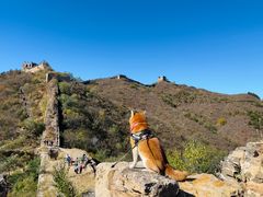 -蟠龙山长城景区