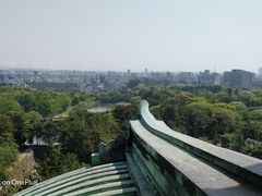 -名古屋城