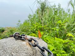 -广州市白云山风景名胜区