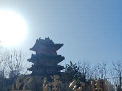 -迎泽公园