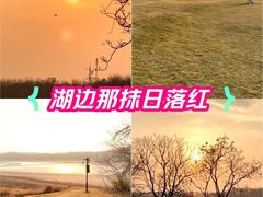 -盘龙城国家考古遗址公园