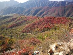 -定都峰