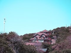 -杨梅坑