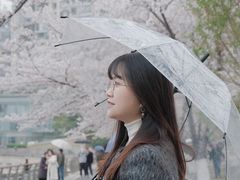 -西北湖绿化广场