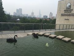 -行者书屋大堂吧 ·下午茶(南京圣和府邸酒店)