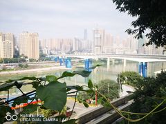 -新都巷步道