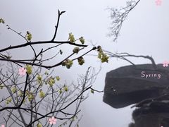 -三叠泉瀑布