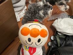 -都会尚膳·海鲜自助餐厅(重庆万豪酒店)