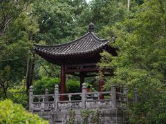 -深圳国际园林花卉博览园