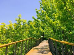 -东郊湿地公园