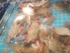 -九月海·海鲜自助(世纪东方店)