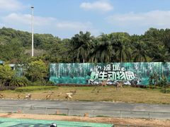-深圳野生动物园