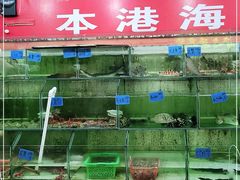 -红海湾豪记海鲜大排档