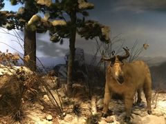 -陕西自然博物馆