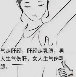 -天姿美容·美体科技SPA·艾姿美店
