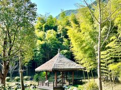 -兰亭风景区