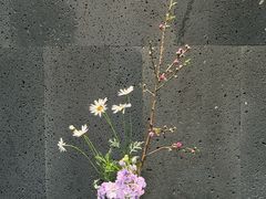 -帝京日语(春熙路旗舰校区)