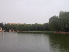-团结湖公园