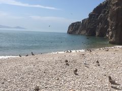 -海驴岛(荣成市)