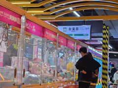-天天玩X秋葉原日系动漫游戏中心