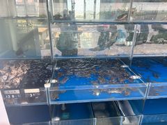 -海月湾海景餐厅( 嵊泗本地老字号店)