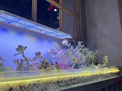 -街角等你.大连海鲜烧烤.经典铁板海鲜串(西安路店)