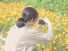-光明小镇欢乐田园
