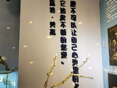 -天津梵高星空艺术馆(天河城旗舰店)