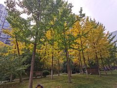 -唐城墙遗址公园