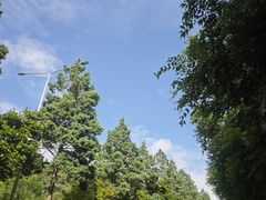 -昆明春城湖畔度假村