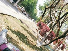 -成都市妇女儿童中心医院(中心院区)