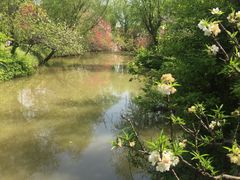 -南汇桃花村