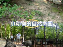 -沈阳鸟岛