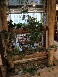 -青青一生美皮肤管理