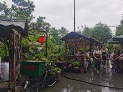 -青城甲(青城山店)