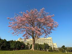 -风云岭森林公园