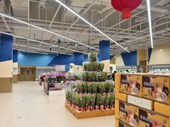 -盒马X会员店(王府井奥莱UP TOWN店)