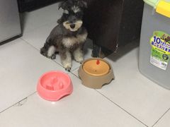 -清泉阁包子饺子·刀削面(五一店)